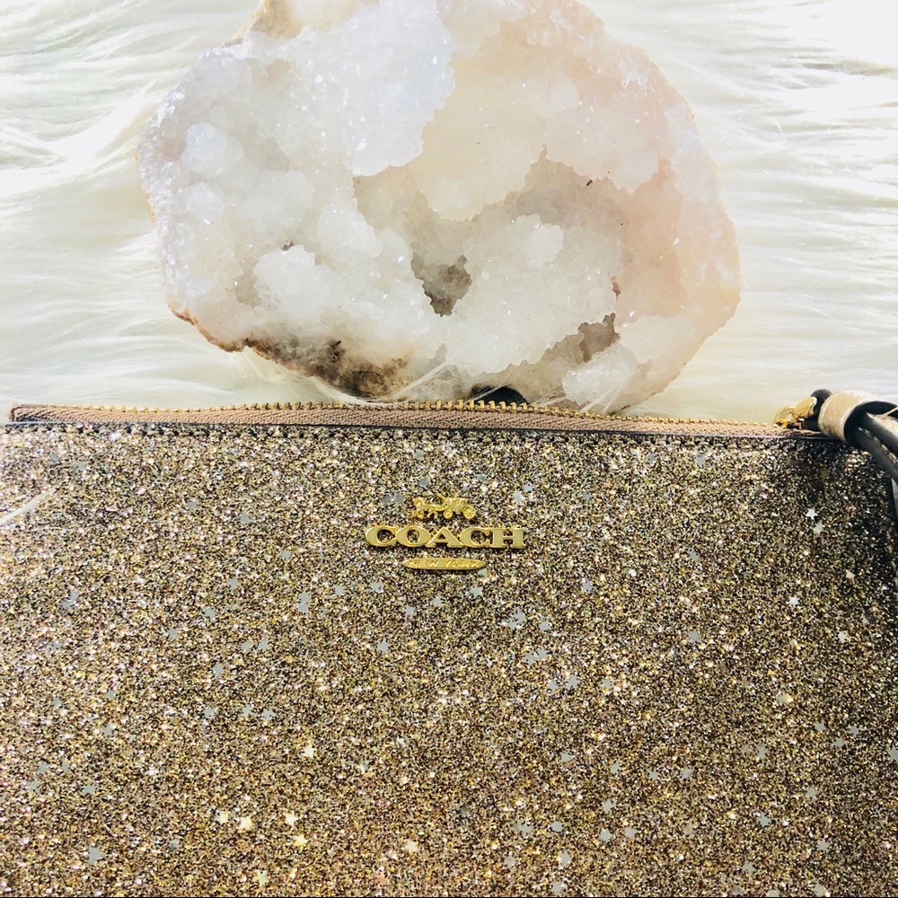 🆕Coach | Wristlet Bag - Picture 6 of 7